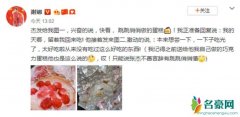 张杰大赞女儿做蛋糕美味 网友：跟你一样心灵手巧