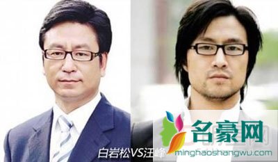 白岩松和汪峰的关系是兄弟吗 哥俩已经傻傻分不清了