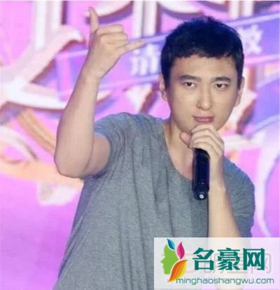 王思聪不怕有人杀他吗?不怕被绑架吗 王思聪是一个怎样的人?为何没人杀他