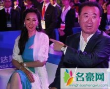 王健林最大的靠山是谁 万达背后的老板是谁