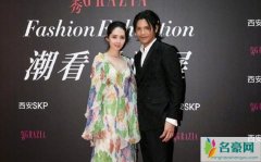 郭碧婷向佐挽手现身 订婚后首次合体甜哭粉丝