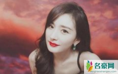 大学生黑杨幂判赔 对于求情杨幂毫不动摇