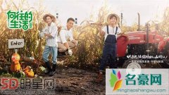 韩国政府反击整治被抄袭的韩综 中国多部综艺节目被韩媒点名