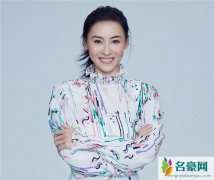 贡米撞脸张柏芝 贡米整容了吗
