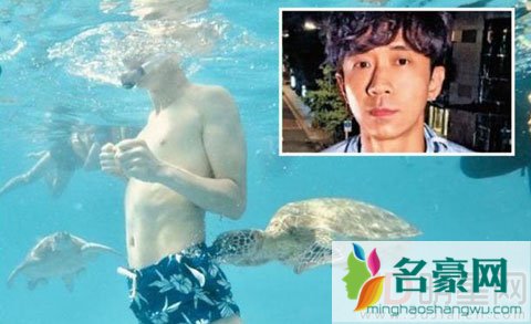 光良花15万为员工包办旅游 新专辑照片被抄袭呼吁知识产权