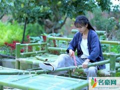 李子柒那么优秀 为什么还有很多人黑李子柒