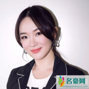 霍思燕二胎是真的吗是自己生的吗？霍思燕二胎是男孩还是女孩