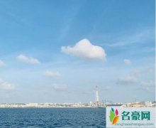 杨丞琳回忆求婚画面 简单的言语中透露出浓浓的喜悦