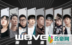 W8VES厂牌为什么有阿达娃？W8VES厂牌怎么样