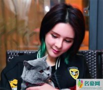 葬爱家族创始人沉珂 沉珂当年为什么被传死亡自杀