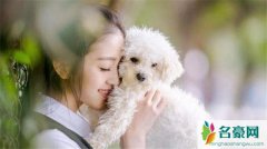 卓仕琳为什么叫40 卓仕琳爸爸卓义峰是谁