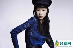 长得像林永健的模特 女版林永健模特为什么被批在丑化中国