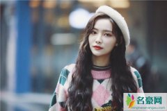 许佳琪吴哲晗怎么了 许佳琪为什么不火