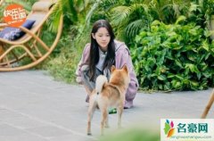 张子枫欧阳娜娜友情 在蘑菇屋里玩玩闹闹互诉少女心事