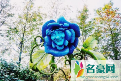 不打新冠疫苗2021年五一能去上海迪士尼玩吗 五一去上海迪士尼玩穿什么好