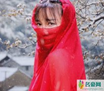 扒一扒李子柒 不食烟火李子柒被网友深扒实在太假了