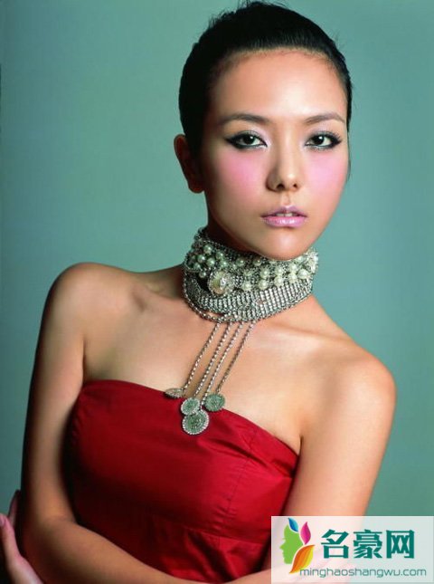 杨乐乐现在怀孕了吗 杨乐乐怀孕做准妈妈