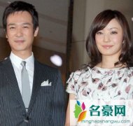 菅野美穂诞下男婴 堺雅人感动表示很欣喜