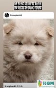 李荣浩自嘲撞脸松狮犬 网友调侃：狗狗眼睛比你大