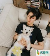 李亚鹏女友素颜照 抱着爱犬闭眼躺在沙发惬意十足