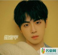 青春有你3魏宏宇退赛了吗？魏宏宇年龄个人资料
