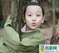 赵吉是赵恒的第几个儿子？他最后怎么样