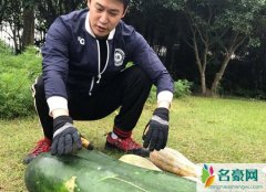 陆毅摸瓜照 陆毅无视出轨丑闻边晒瓜边看戏