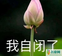 我自闭了是什么梗 揭露网络流行语我自闭了是什么意思