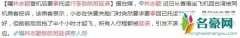 林志颖招乘客投诉 网友：公众人物要注意言行不该“耍特权”