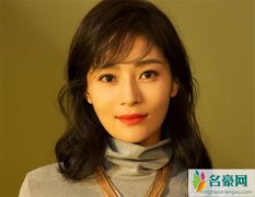 王媛可是哪儿人 详细资料背景曝光走红原因令人意外
