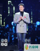 蔡国庆个人演唱会 蔡国庆主持的演唱会