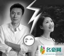 杨蕾离婚分了多少钱 王微杨蕾为什么离婚