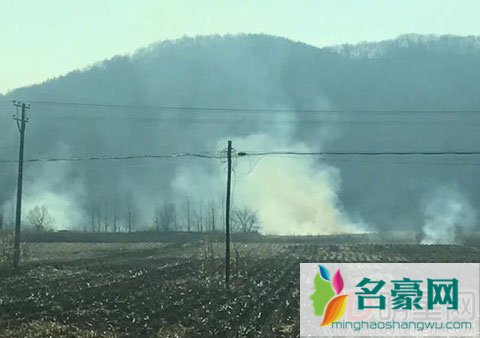 孙艺洲佟大为接连为哈尔滨空气质量担忧 反遭哈尔滨市民呛声