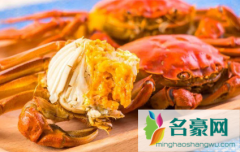 螃蟹是不是高嘌呤食物 痛风可以吃螃蟹吗