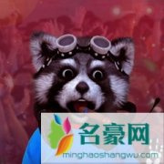 浣熊君个人资料在哪里直播 主播浣熊君怎么走红的现在怎么样
