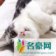 错觉老中医个人资料在哪里直播 主播错觉老中医怎么走红的现在怎么样