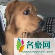 轮胎粑粑个人资料在哪里直播 主播轮胎粑粑怎么走红的现在怎么样