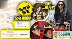 张柏芝三胎出生证 三胎儿子张承礼神秘父亲疑似曝光