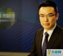 张羽从央视离职 从老东家跳槽后事业蒸蒸日上成副总裁
