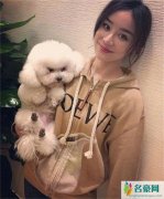 袁姗姗回应房间乱 得包文婧金牌教学 会慢慢改进