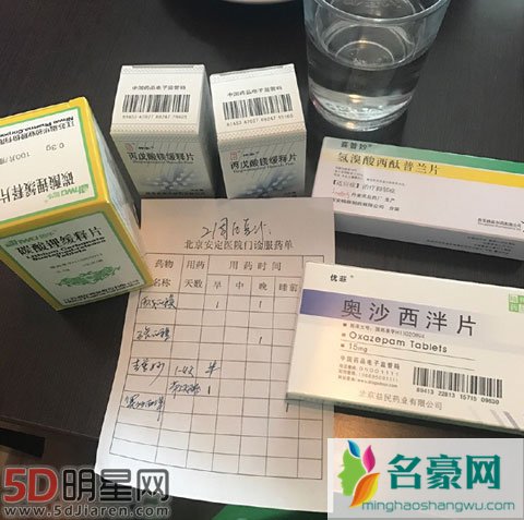 范冰冰替身王亚楠不堪压力 患忧郁症靠吃药维持