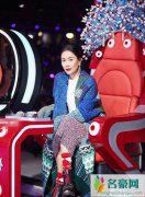 那英确定不参加下一季《新歌声》 《歌手》总导演洪涛手滑点赞可以发毒誓