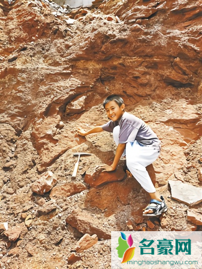 小学生游玩发现恐龙蛋化石 共挖出11枚距今6600万年前的恐龙蛋