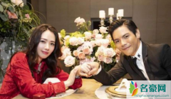 向太否认郭碧婷已生女 郭碧婷腹中宝宝是男是女引发热议不断