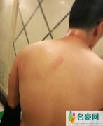 赫子铭好友曝其被何洁家暴 何洁工作室声明否认