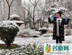 秦羽墨扮演者赵文琪近况怎样 赵文琪为什么不红了揭露她演艺经历