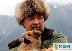 血狼犬好看吗 电影血狼犬大结局怎样的网友影评褒贬不一