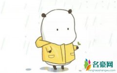 253516小磊个人资料最新消息 网红253516小磊在哪里播真名叫什么怎么火的