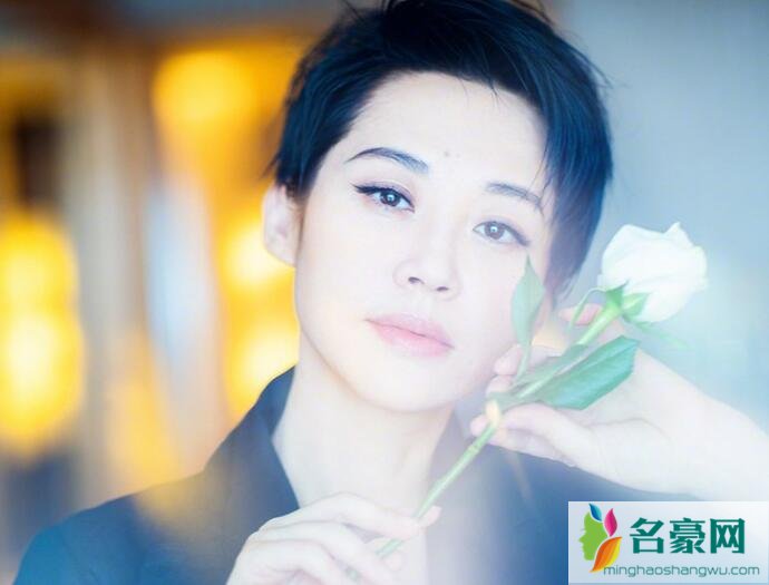 许晴和舒淇怎么了