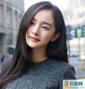 杨幂方回应纳税被热议 这才是明星中的表率